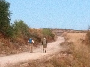 Al and Mark, they got ahead of me somehow