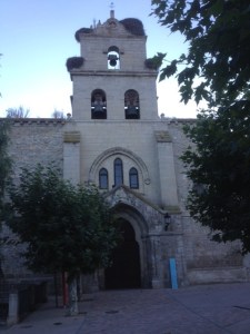 Church with bird nests