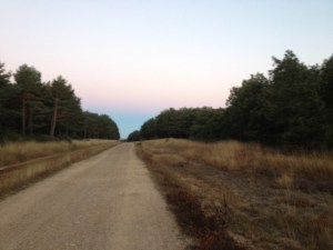 If Allen sings a long and winding road one more time, and he only knows one verse, it is killing me