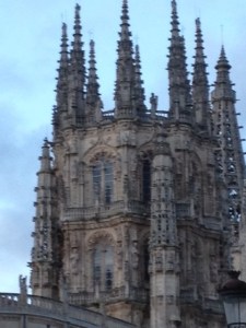 Close up, I wished I was a better photographer.