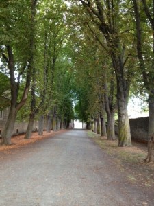 To those of you who have seen the Way with Martin Sheen, this is where the Gypsy walked him out if city, yo those of you who haven't seen the movie, Watch It!