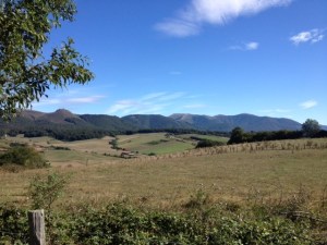 I climbed one of these