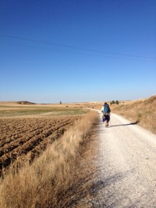 This pic is the same as the one on our Brierley guide