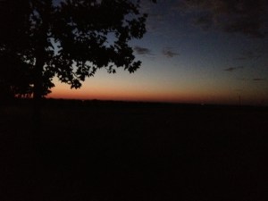 I know, I know, they are just so beautiful.