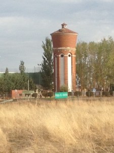 I have no idea what this is.