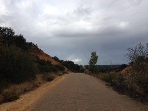 We did see a rainbow,