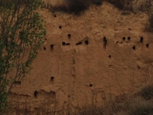 This was cool, lots of erosion to the side, we ate some olives here, birds going in and out of holes