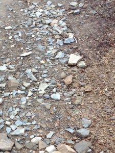 Our trail, not so hot