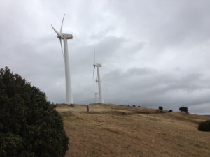 Now past the windmills 