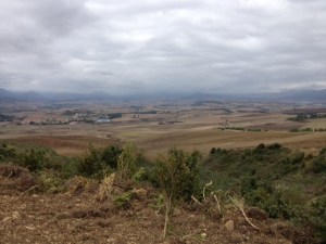 Pamplona way,way back there