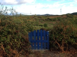I liked this gate leading to a garden
