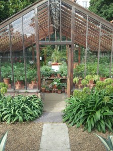 At Chelsea Physic Garden