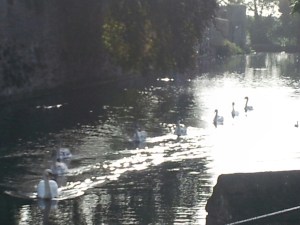 Behind the cathedral in the Bishops garden