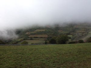 Mist clearing, for the moment