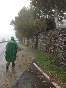 Coming into the walled village