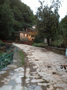 It his is the house with the dog, you walk up the drive and then right down the sidewalk in front, which is the trail. 