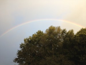 We have been seeing lots of these