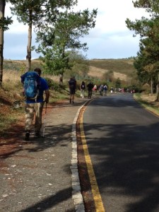 Our vast like of pilgrims