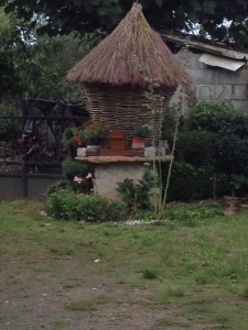 I have seen a few of these, no one can tell me what they are.