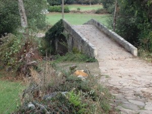 The Magdalena  Bridge