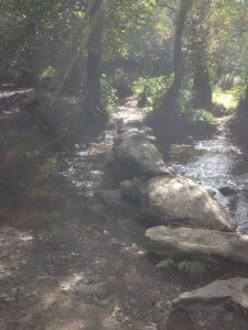 This was not a fun bridge to cross