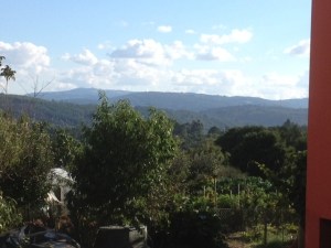 The view when we went to get groceries. .